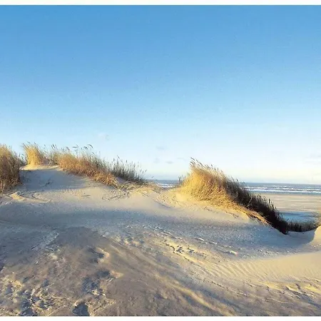 Semesterbostad Reethuus Sued Modern Retreat Juist