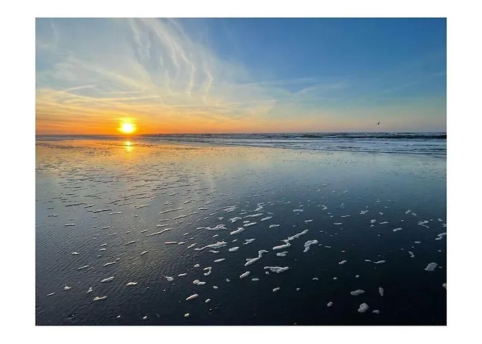 別荘 Reethuus Sued Modern Retreat