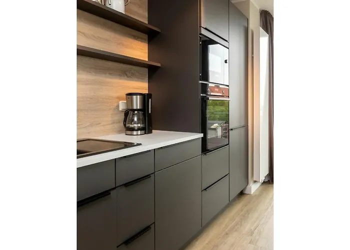 Reethuus Sued Modern Retreat 別荘 ユイスト