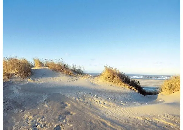 別荘 Reethuus Sued Modern Retreat